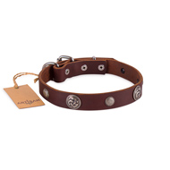 Exclusive Brown Studded Dog Collar FDT Artisan For Active Walking