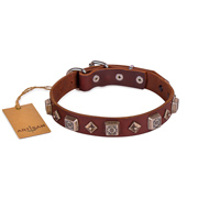 Brown Handmade Strong Dog Collar FDT Artisan For Dog’s Reliable Control