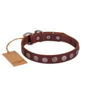 Dark Brown Leather Dog Collar | Exclusive Dog Collar UK FDT Artisan