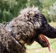 Adjustable Dog Collar with a Buckle for Caucasian Shepherd