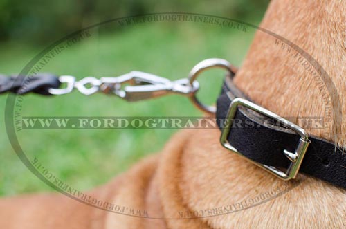 Choke dog collar