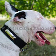 Personalized Dog Collar | ID Dog Collar with Name Plate