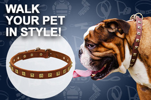 Nylon Dog Collar