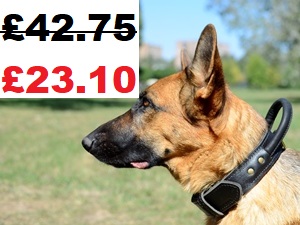 2 Ply Leather Dog Collar with Handle