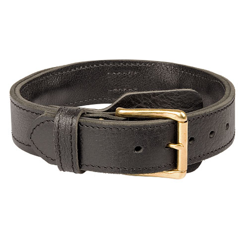 leather dog collar hardware