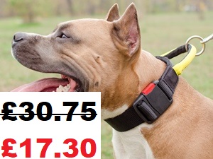 Nylon Dog Collar with Handle