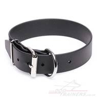 Advanced Biothane Waterproof Dog Collar with Buckle Closure