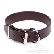 Salt Water Resistant Dog Collar with Buckle Brown Biothane