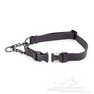 The Best Martingale Collar with Buckle and Chain for Dog Obedience