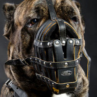 Cane Corso Muzzle Royal Padded | Large Leather Dog Muzzle Cane Corso Muzzle Royal Padded | Large Leather Dog Muzzle