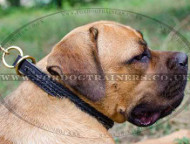 Cane Corso Dog Choke Collar | Dog Training Collar Braided Style