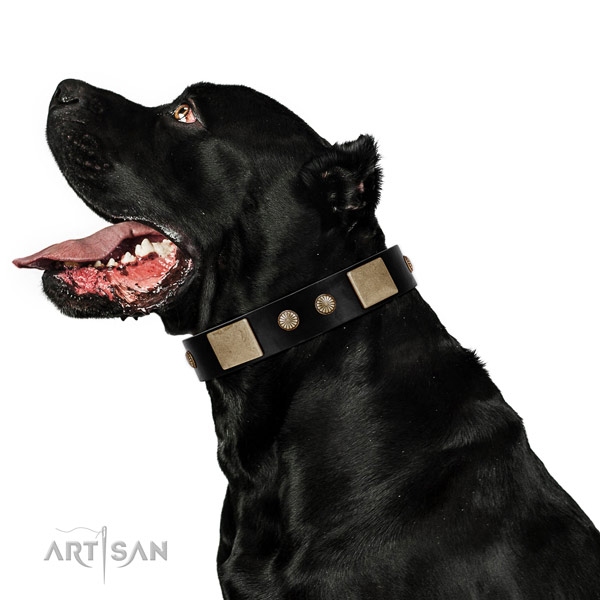 Black Leather Dog Collar for Big Dogs