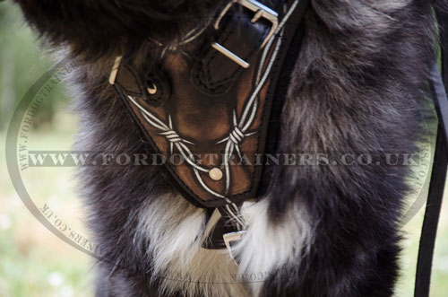 leather dog training harness for Caucasian Shepherd