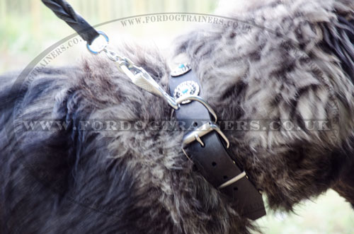 Caucasian Shepherd Guarding