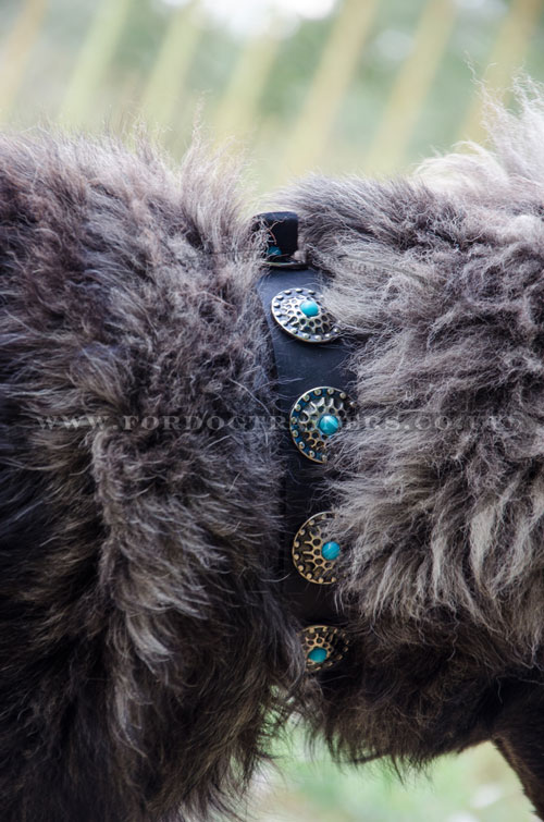 Designer big dog collar for Caucasian Shepherd