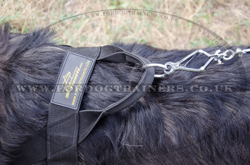 non pulling dog harness for Caucasian Shepherd