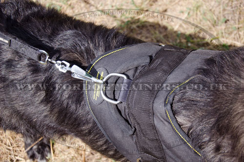 large dog pulling harness for Caucasian Shepherd