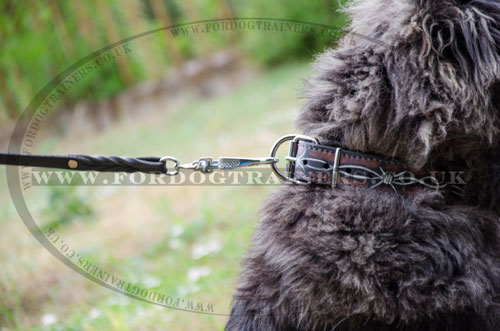 handmade dog collar for Caucasian Shepherd buy online