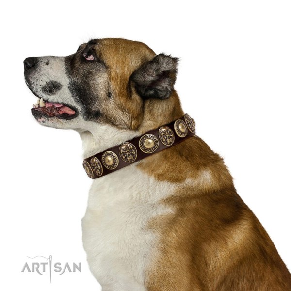 Artisan soft brown leather dog collar for Central Asian Shepherd