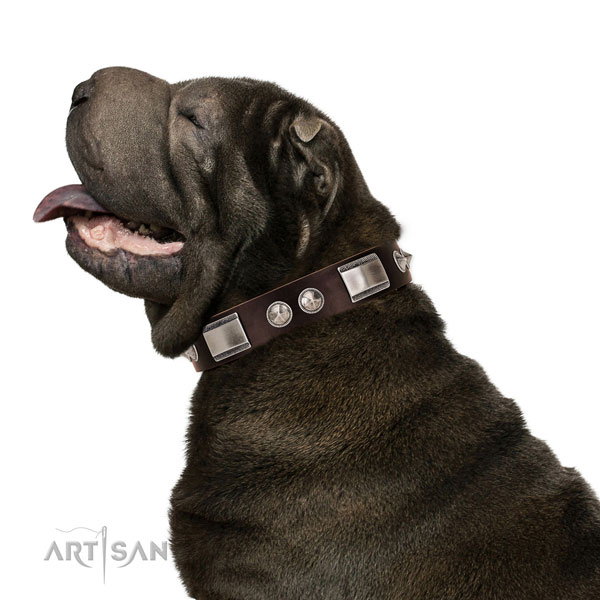 Shar Pei Dog Collars for Large Breeds