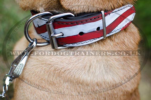 Bright Dog Collars for Chinese Shar Pei Dogs