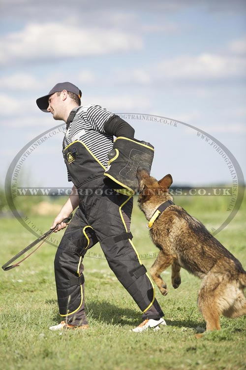 Command Training for Dog Agility and Health