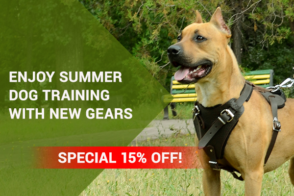 15% OFF