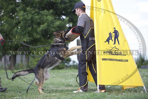 Dog Training for Skills Development