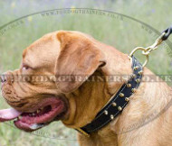 Dog De Bordeaux Leather Dog Collar | Dog De Bordo Collar Spiked