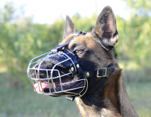 Dog-wire muzzle