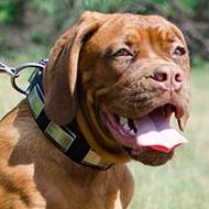 Dogue De Bordeaux Collar | Dog Collars from Producer Directly!