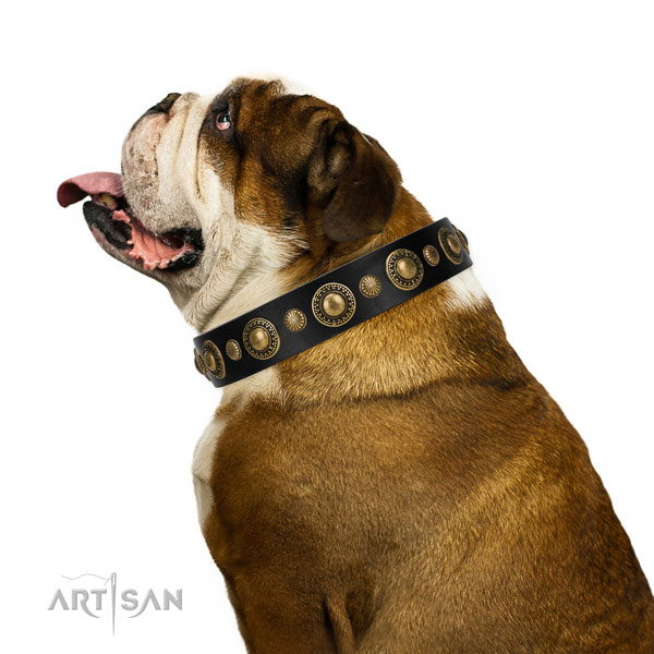 English Bulldog handmade dog collar black