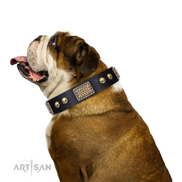 English Bulldog Collars for Dogs
