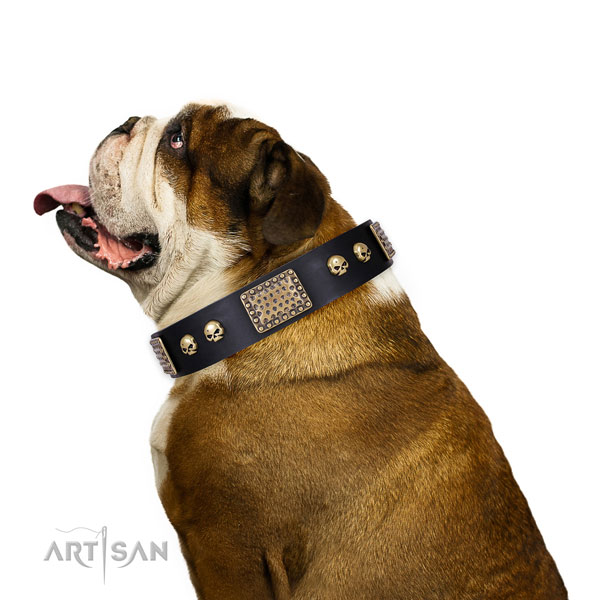 English Bulldog Collars for Dogs