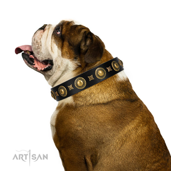 English Bulldog Collars UK