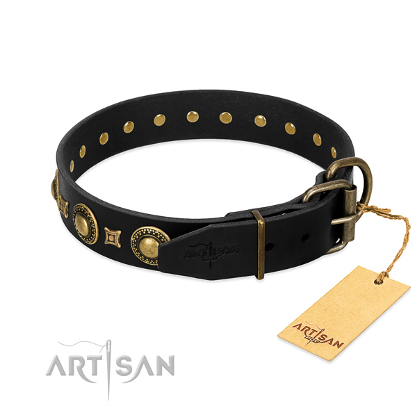 Black Adjustable Dog Collar