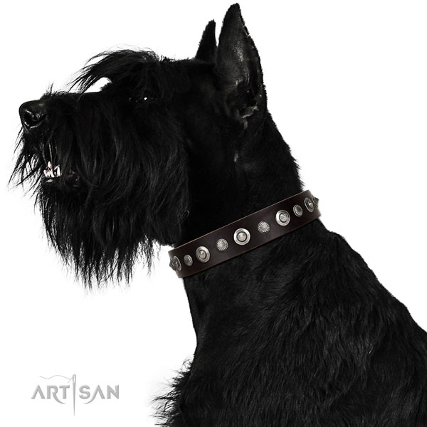 Riesenschnauzer Collars UK