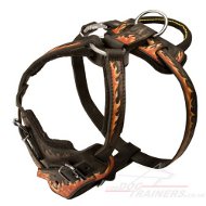 Hand Painted Designer Dog Harness for Large Dog in Flame Style