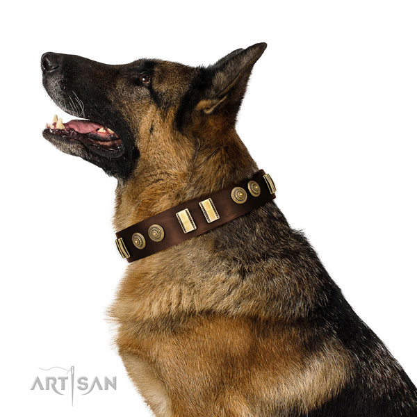 Studded Dog Collar for Shar Pei