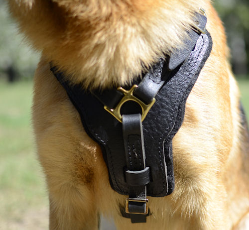 German Shepherd Body Harness