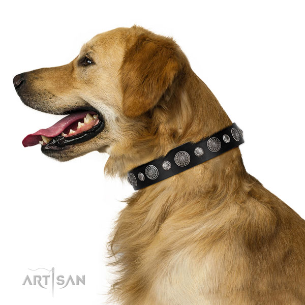 Golden Retriever Black Leather Dog Collar UK