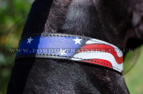 unique dog collar