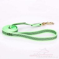 Top-Quality Nylon Training Lead For Dogs Ultramodern Design