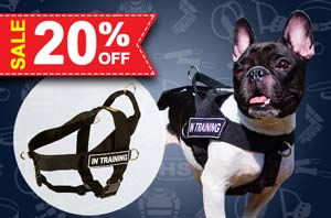 Non Pull Dog Harness Small