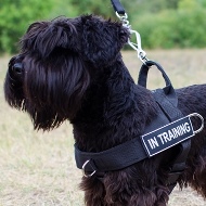 Giant and Miniature Schnauzer Dog Harness No Pull UK Best Seller