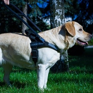 Assistance Dog Harness with Handle for Labrador Guide Dog