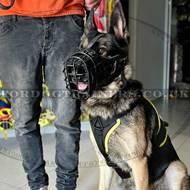 German Shepherd Best Harness for Dog Training & Walking