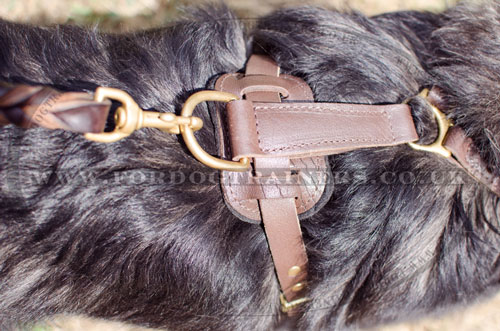 choose quick release leather dog harness for Caucasian Shepherd UK