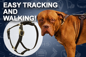 Leather Dog Leash