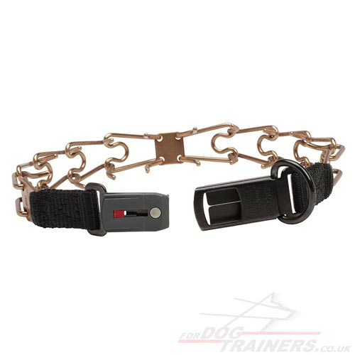 Dog Metal Collar with Buckle